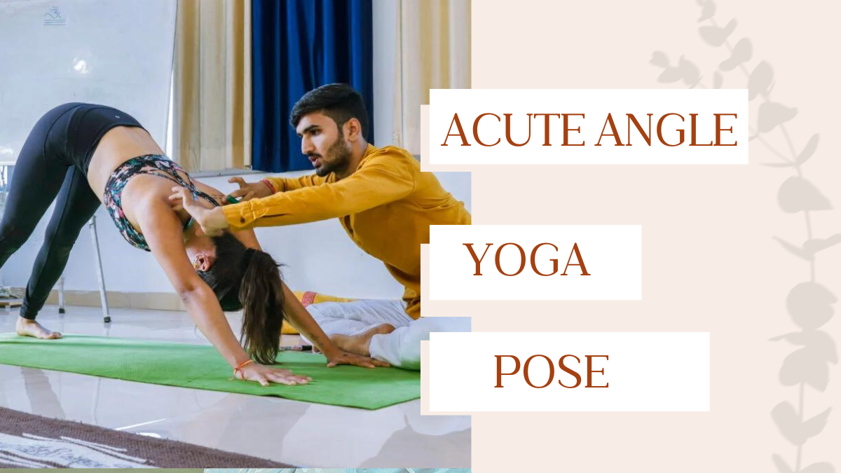 Acute Angle Yoga Pose