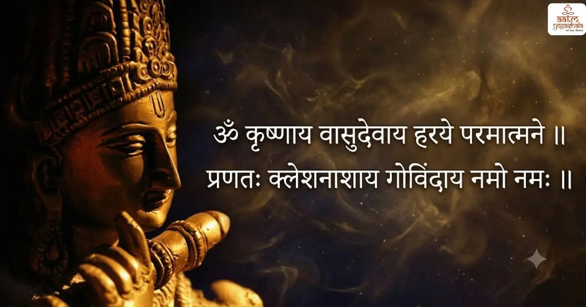 Krishnaya Vasudevaya Haraye Paramatmane Shloka Meaning