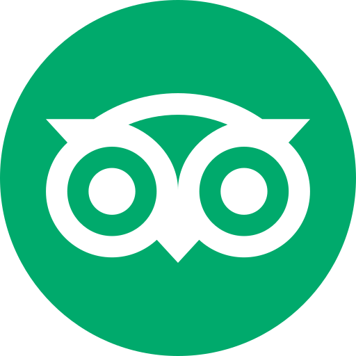 Tripadvisor Reviews
